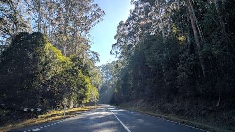 Photo: Mount Donna Buang and Mt Victoria Hiking Trail